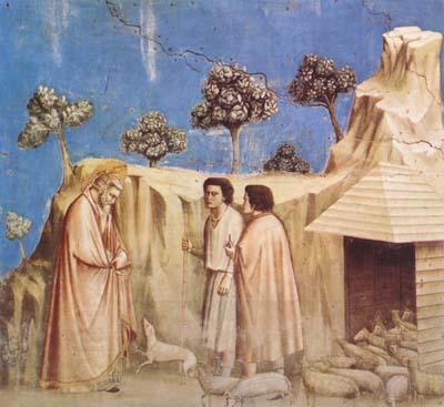 GIOTTO di Bondone Joachim Takes Refuge in the Wilderness (mk08) oil painting picture